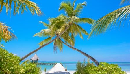 pexels-asad-photo-maldives-1591375